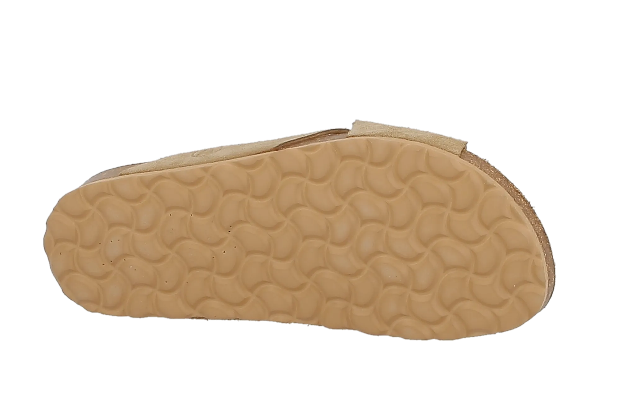 20065-16-0004