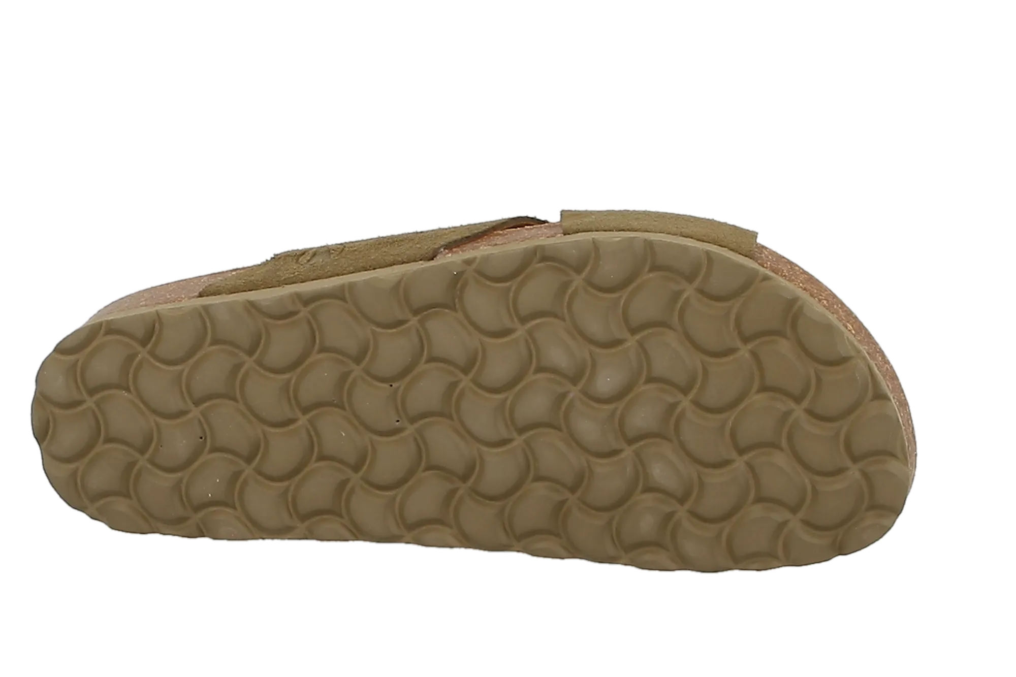 20065-50-0004
